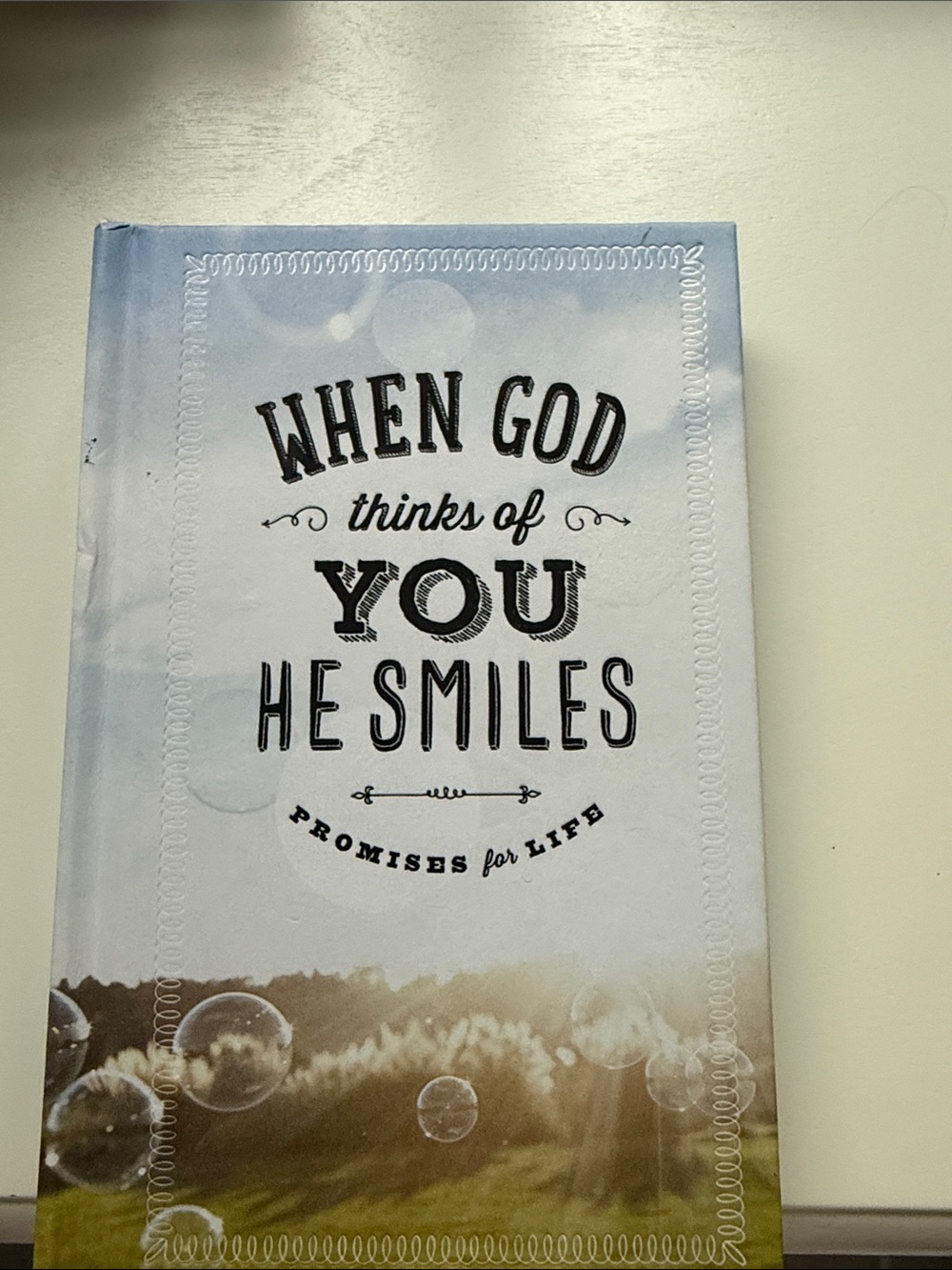 Hallmark Light Blue and White Devotional Book